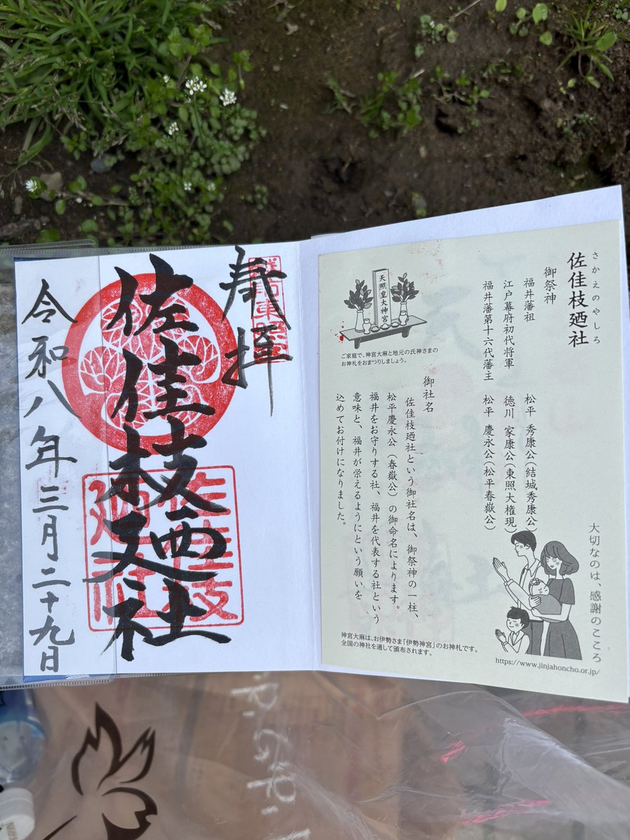 mikoお兄さん tweet media