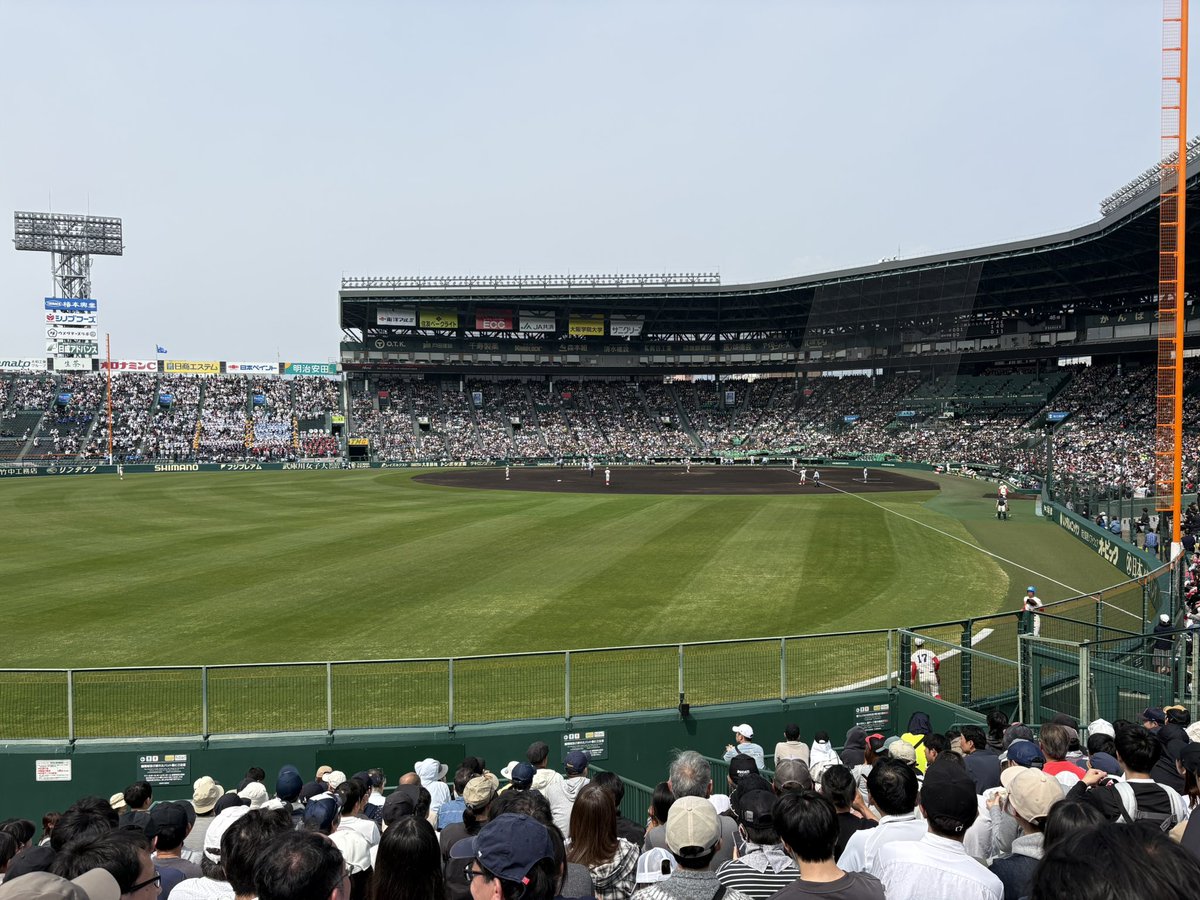 JOHNBULL tweet media