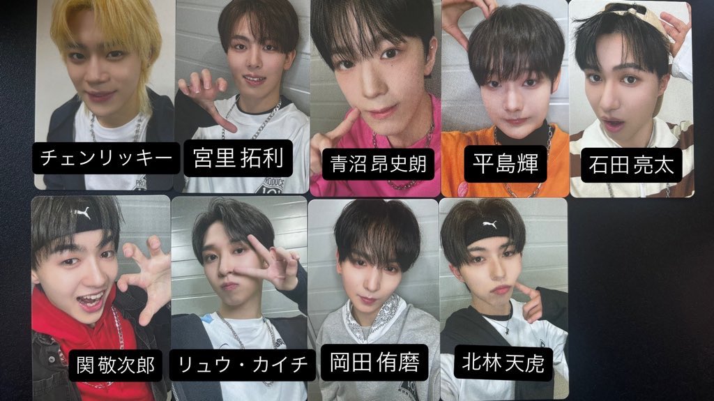 🐺🌟 tweet media