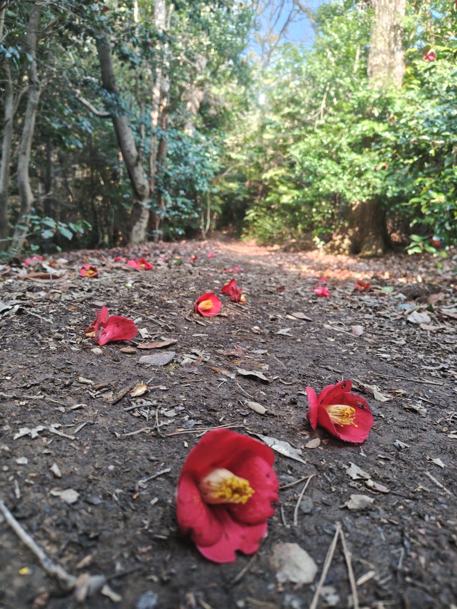 いけじゅん tweet media