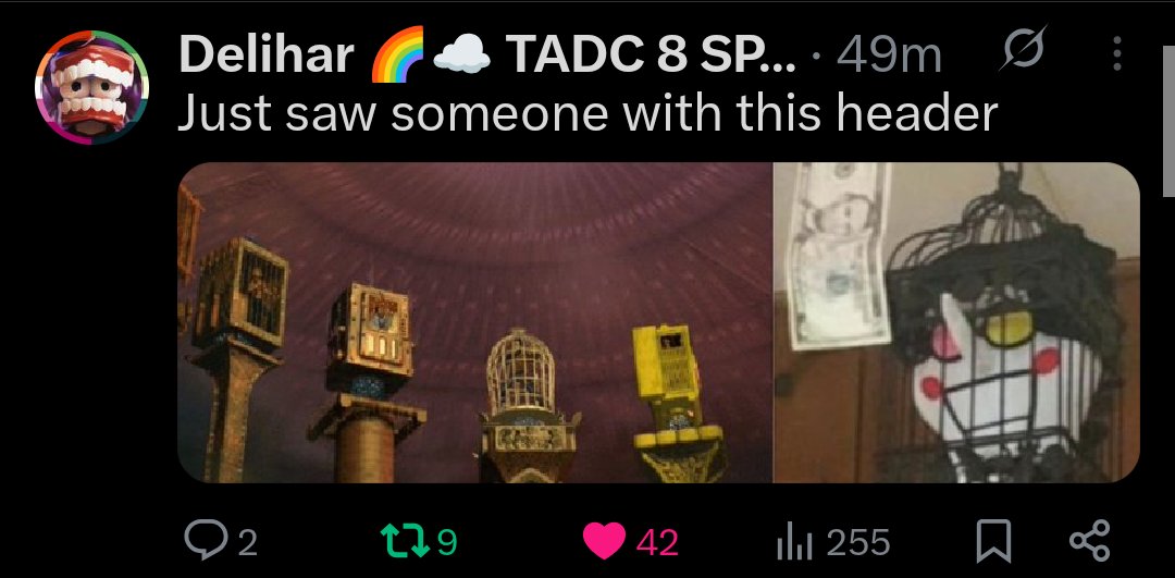 Utdr struggles tweet media