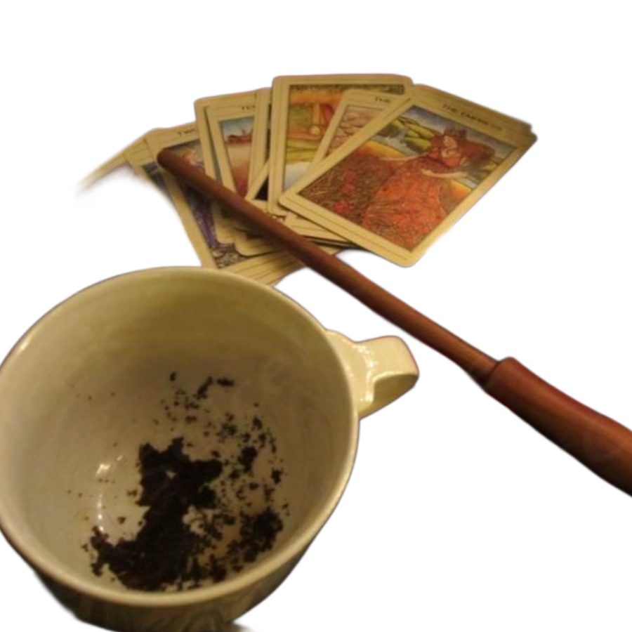 * ๐ก๐ฉ๐๐๐๐๐๐. tweet media