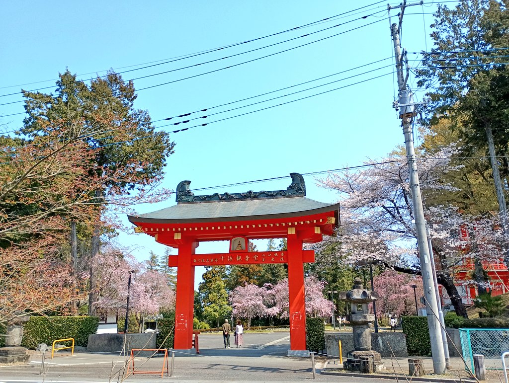 token✈️（トークン） tweet media