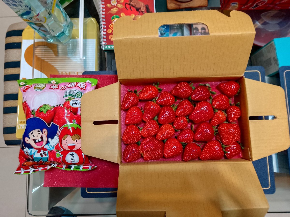 pot321tsb's tweet photo. 妻の家族と一緒に楽しむいちご狩り！
いちご、いちご～久しぶりの苺狩り！

そのあと、新緑が出る前に咲く桜を見に行きました。

#台湾 #TAIWAN #苗栗 #Miaoli #大湖 #灣潭玫瑰草莓園 #苺 #いちご #草莓 #おいしい #果物 #水果 #SAKURA #さくら #桜 #櫻花 #桃李河畔 #台中 #TAICHUNG #新社 #乖乖 https://t.co/xJuWcfcMgr