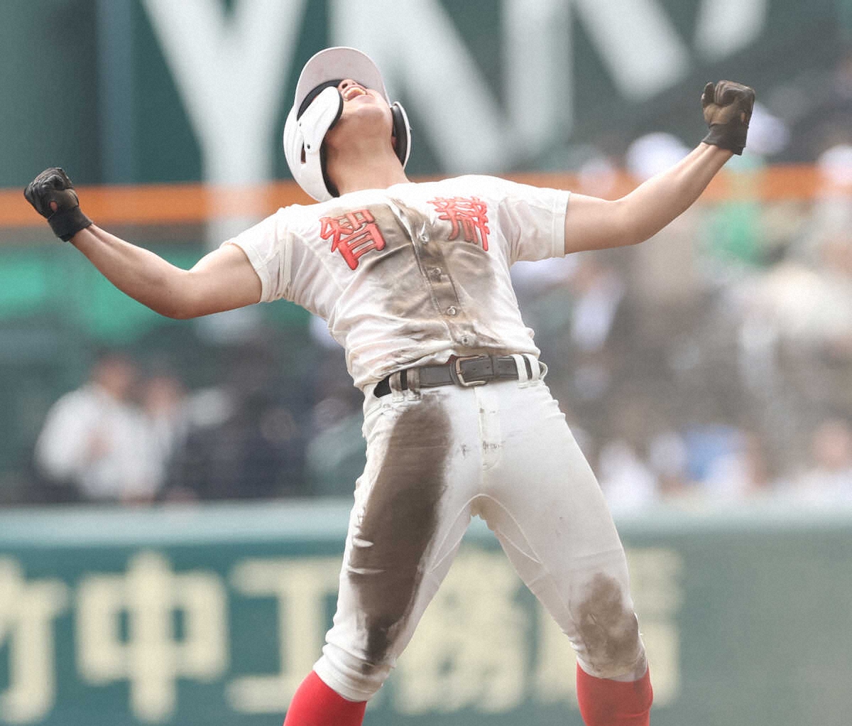 ライブドアニュース tweet media