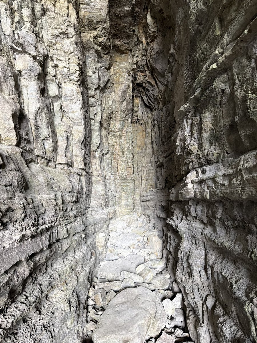 Wind Calm tweet media