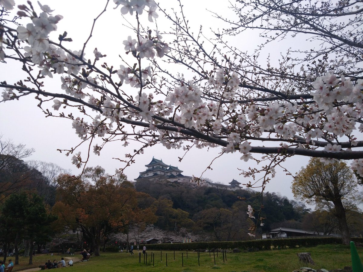 ふな!! tweet media