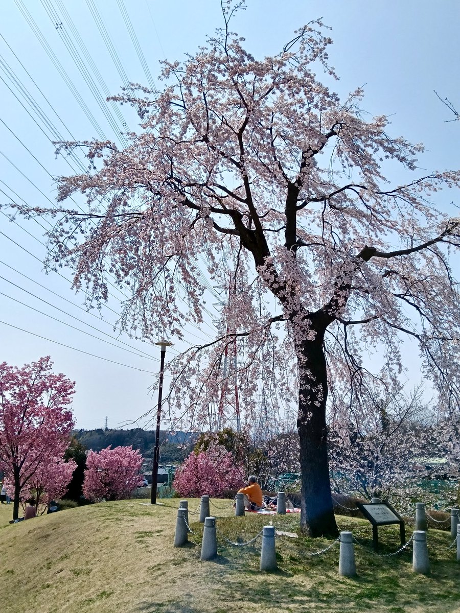 けーえす tweet media