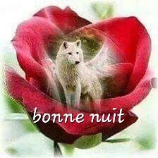 akira91crime tweet media