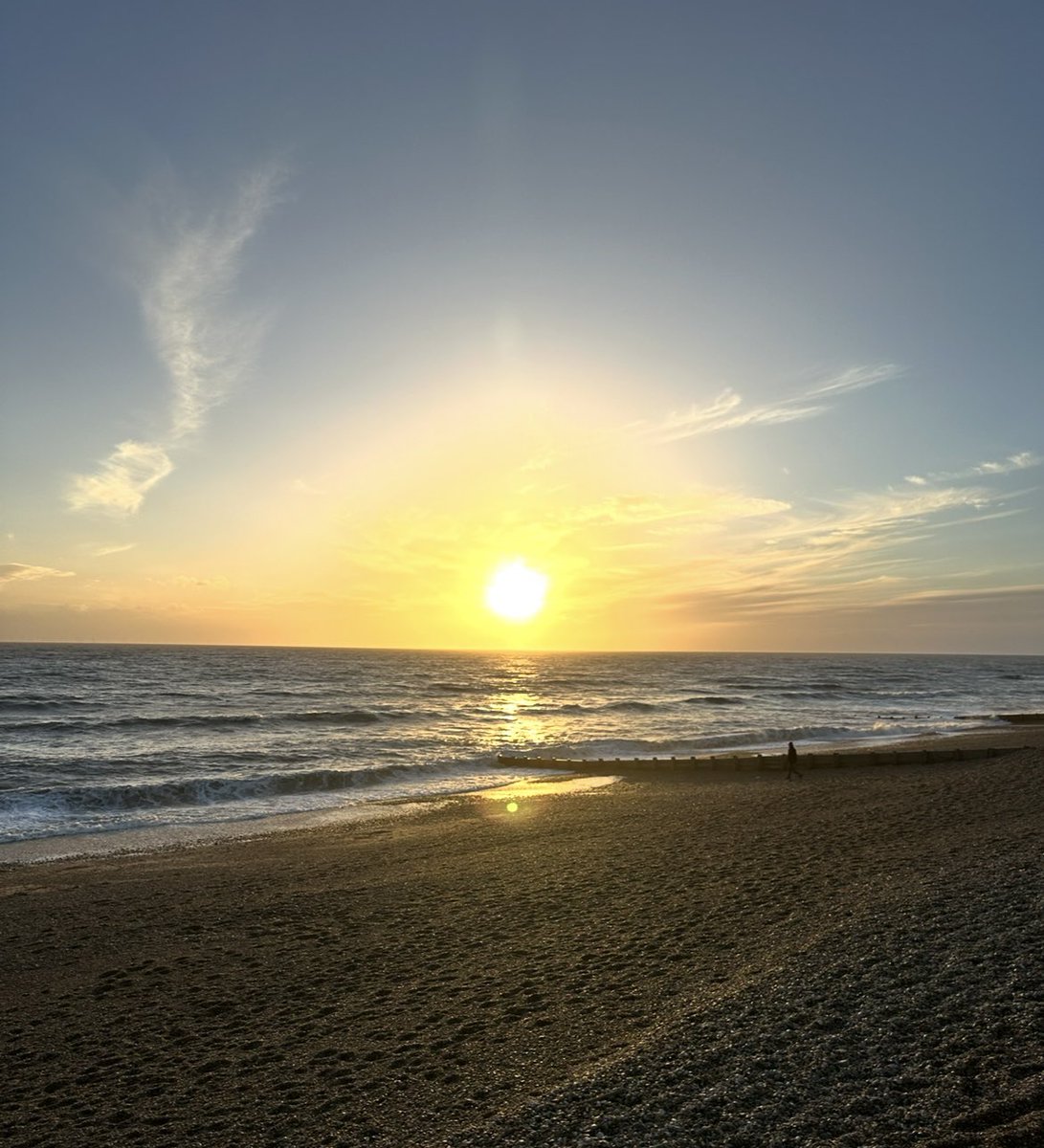 Meningioma Host tweet media