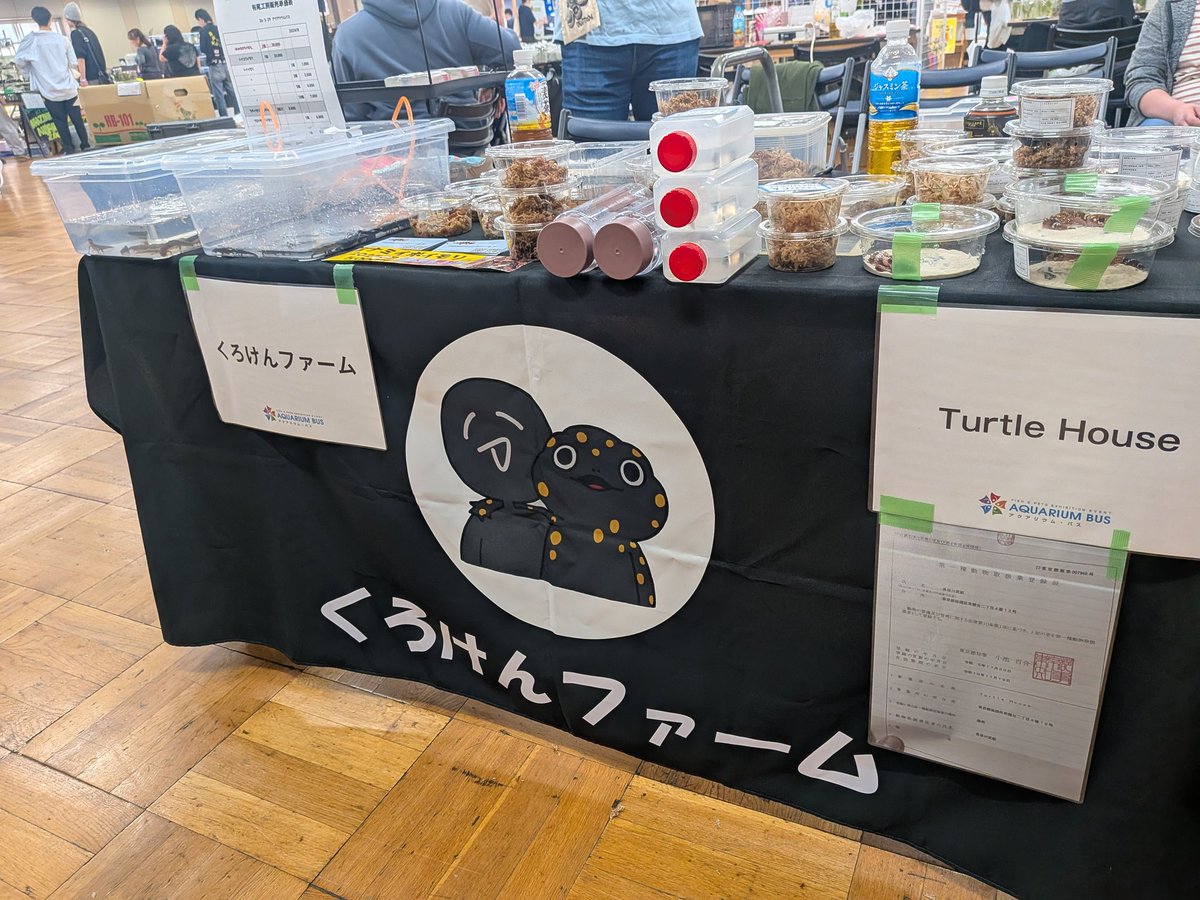 心折れたイモリ tweet media