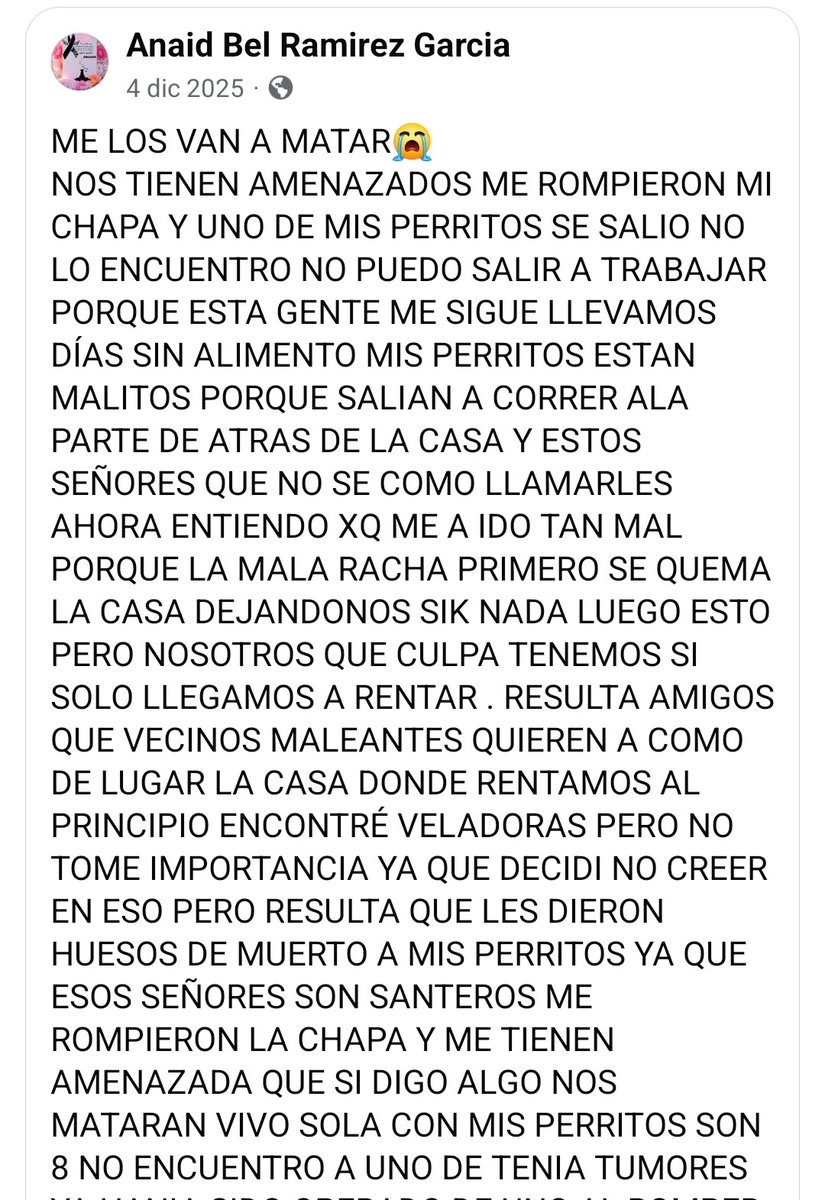 Abogado Animalista tweet media