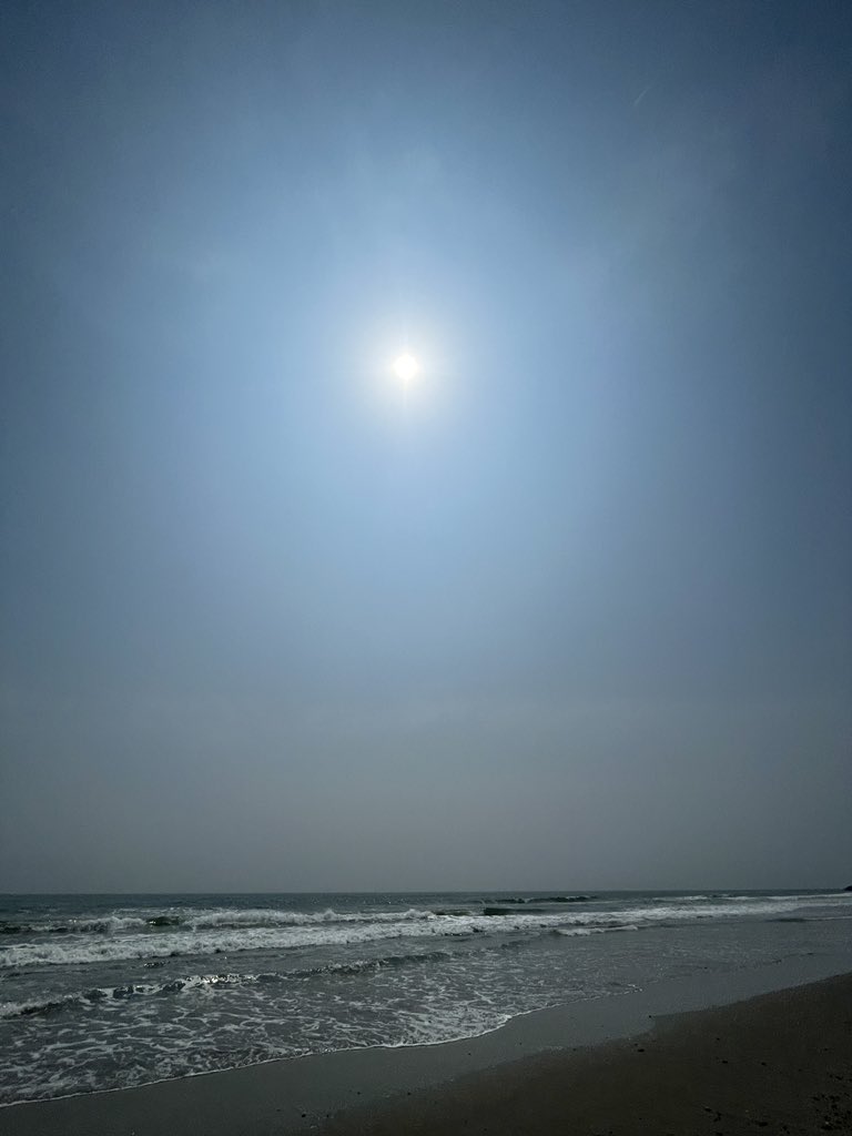 モロチ tweet media