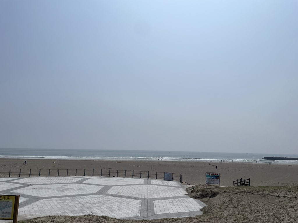 モロチ tweet media