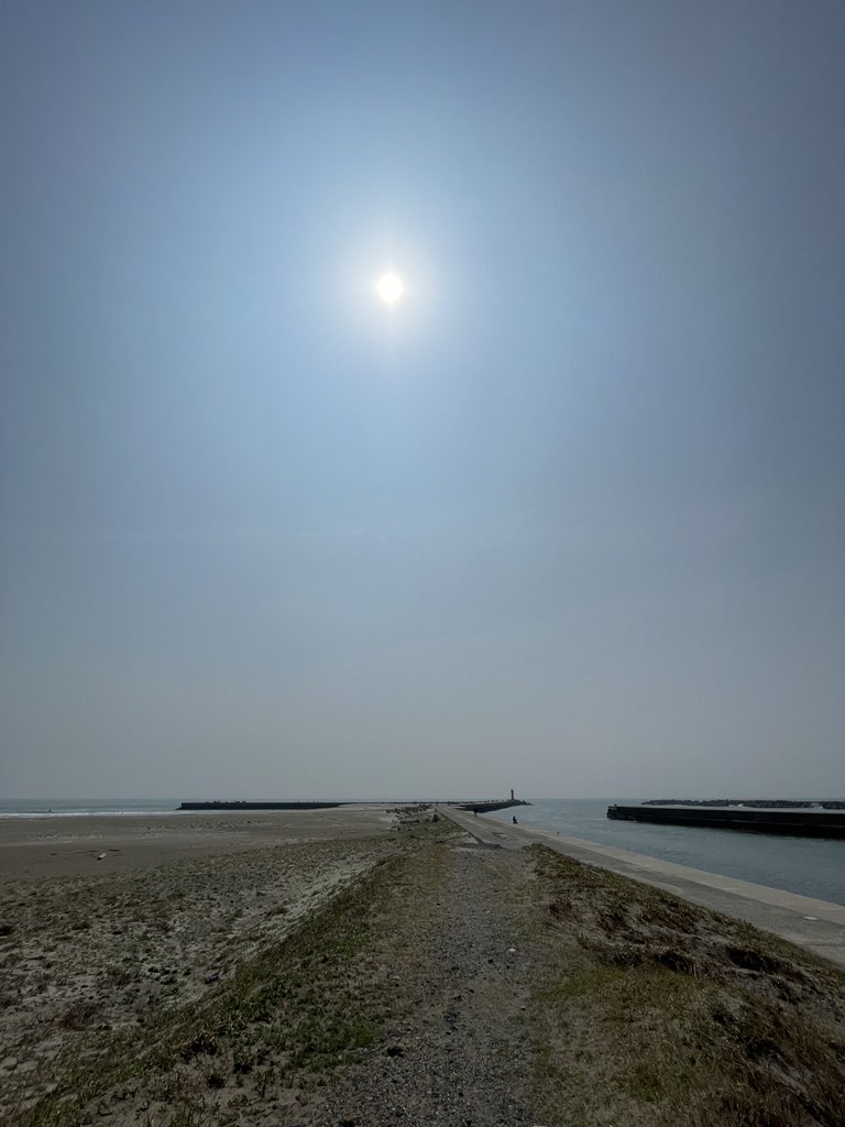 モロチ tweet media