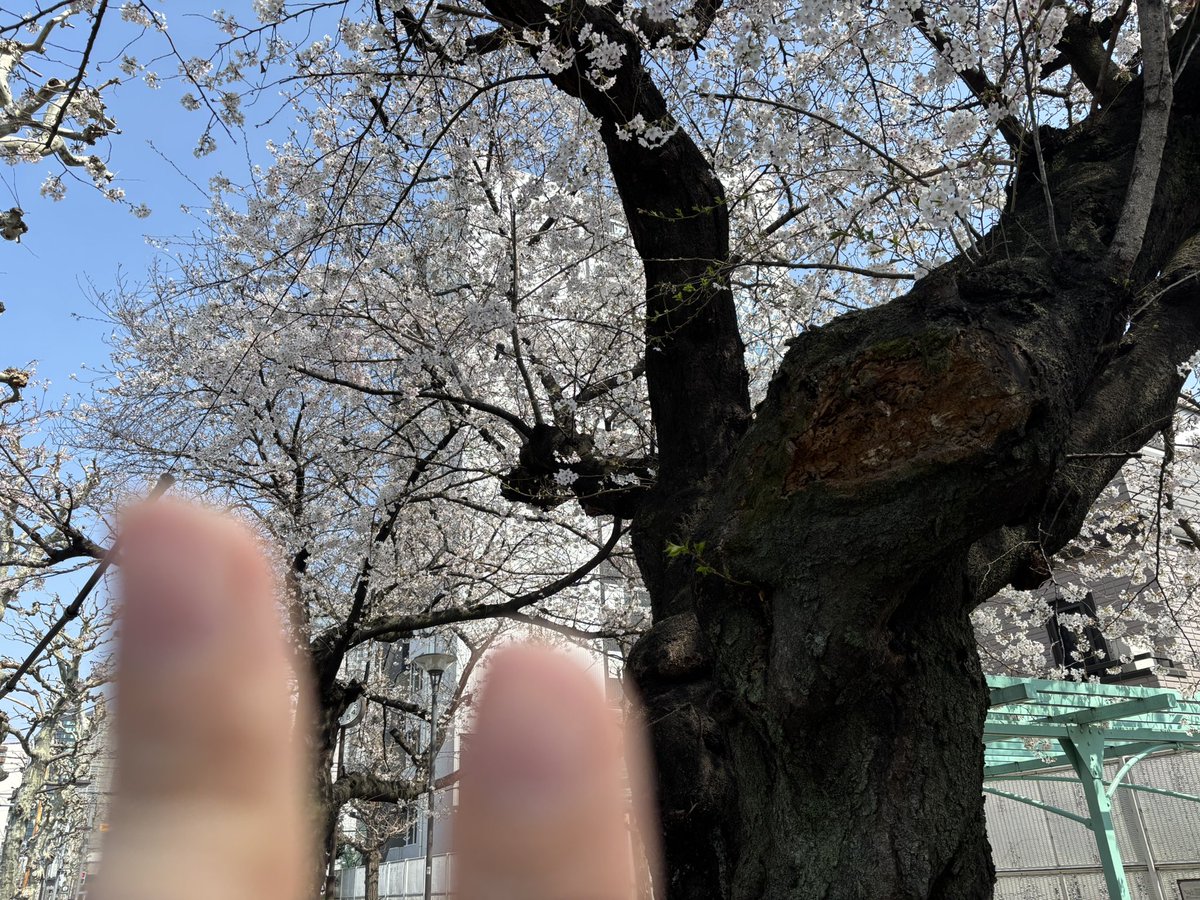 最近も良く歩きます　リフレッシュ