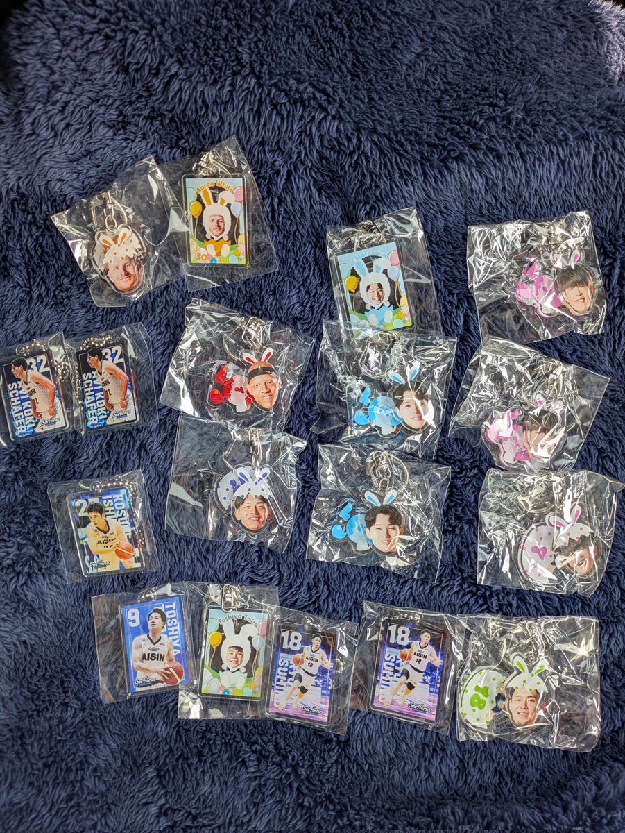 【交換希望】
シーホース三河 今節 復刻ユニキーホルダー　イースターグッズ
画像のものを所持しております。
#13 との交換のみで探しております。
本日すでに会場におりますのでぜひお声掛けください。
#シーホース三河