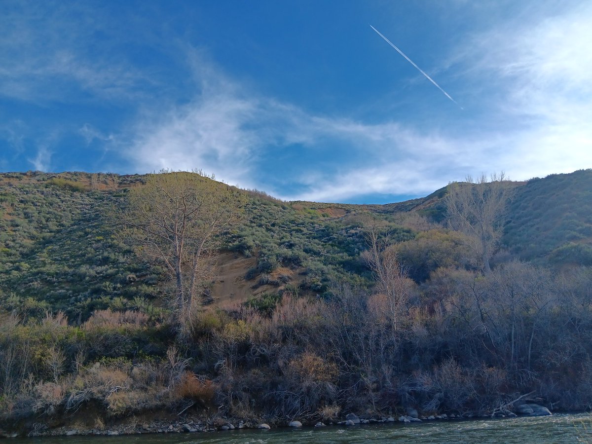 VisibleThoughts tweet media