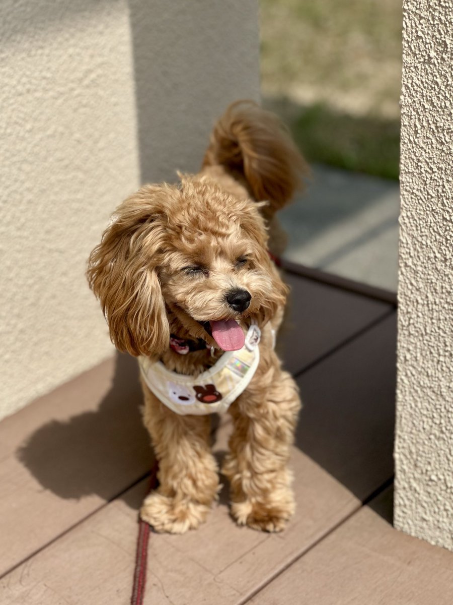 らっちゃんズ tweet media