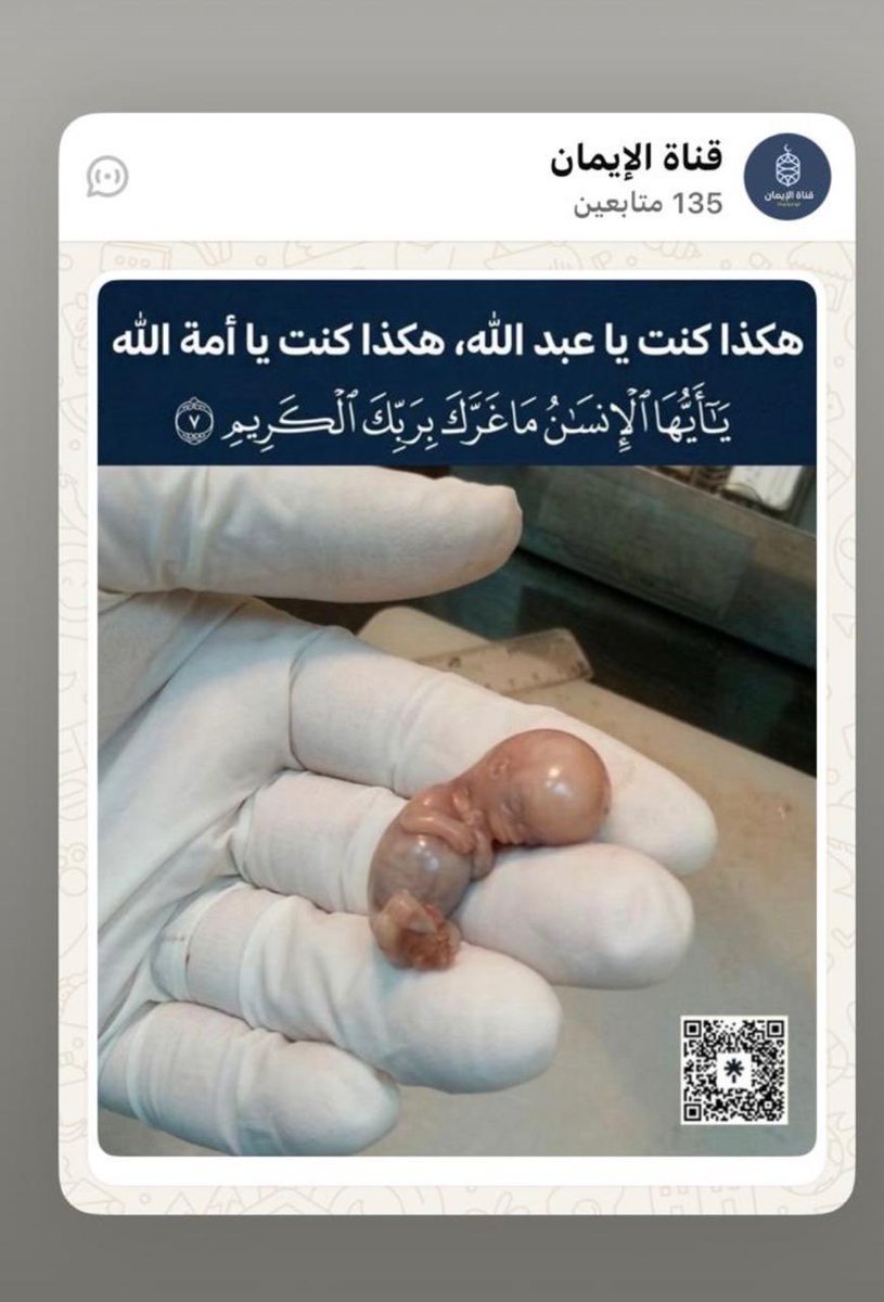 ●◉✿ غيمۿ جنوبيۿ ✿◉●. tweet media