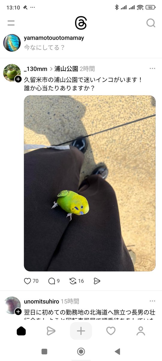 マウンテン tweet media