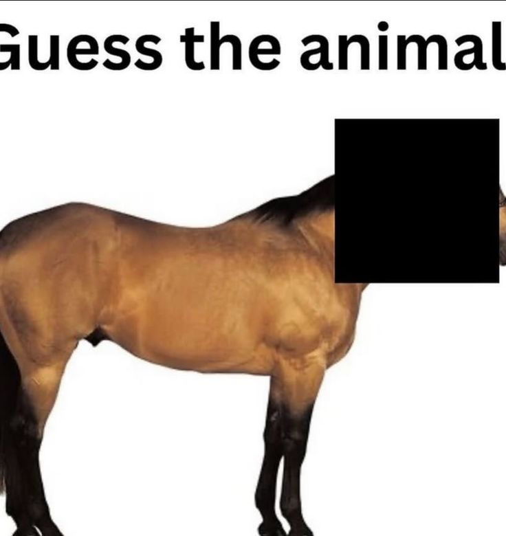 Michi Mochievee 💍 tweet media