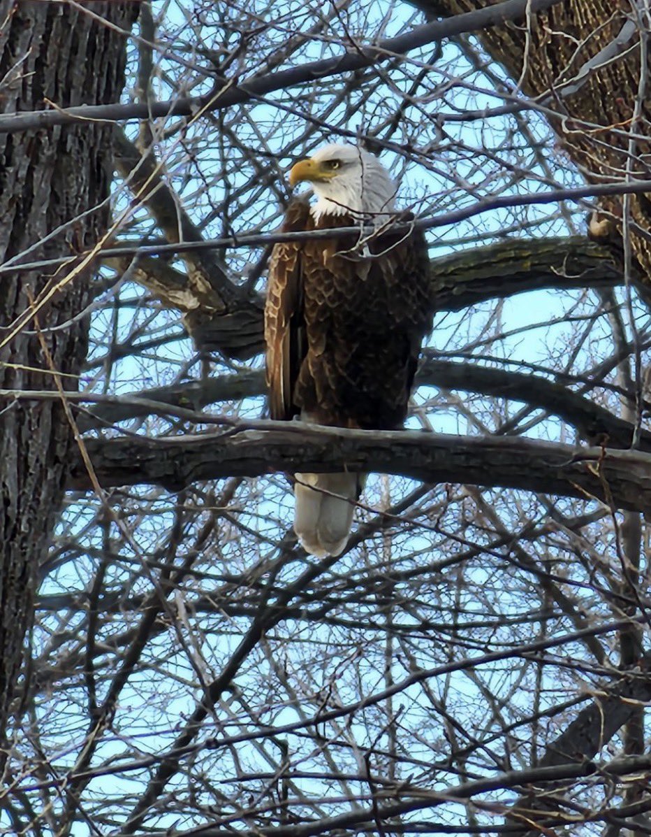 Traditionally Sarah🇺🇸 tweet media