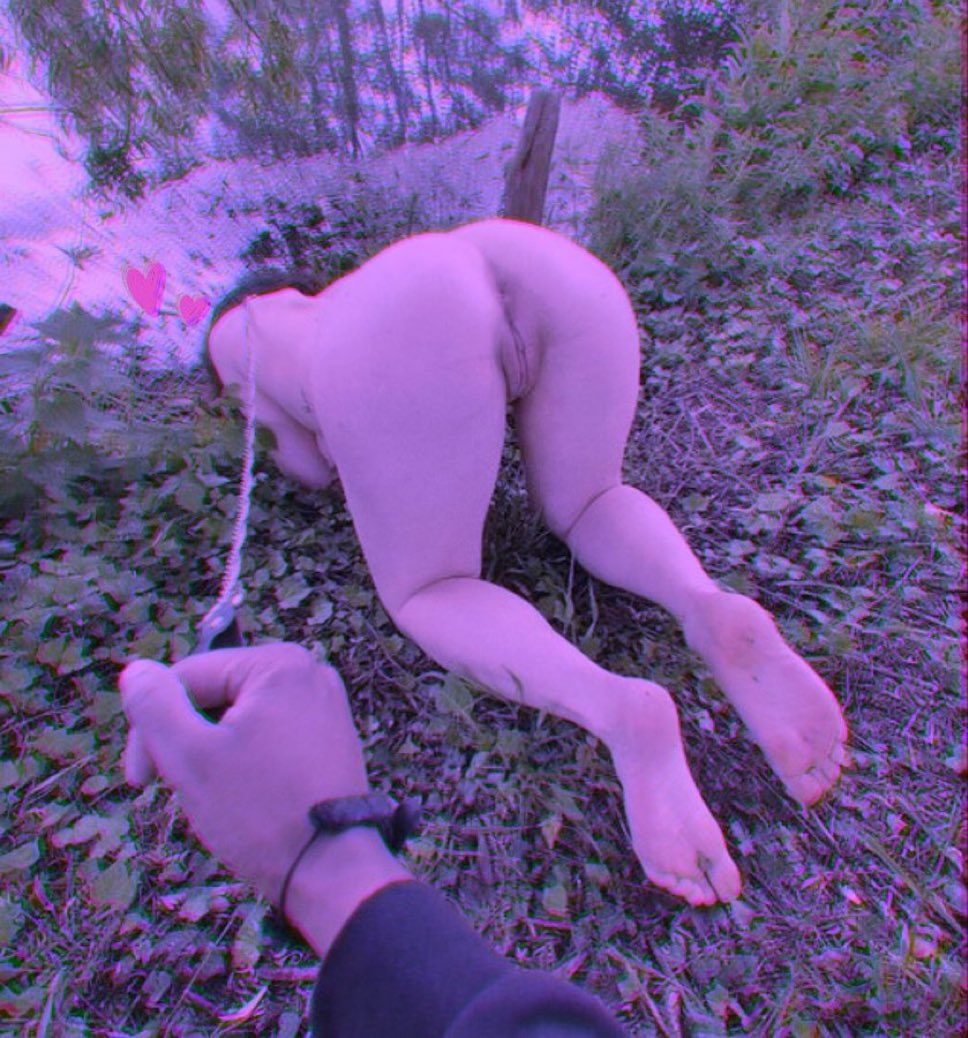 Pig owner tweet media