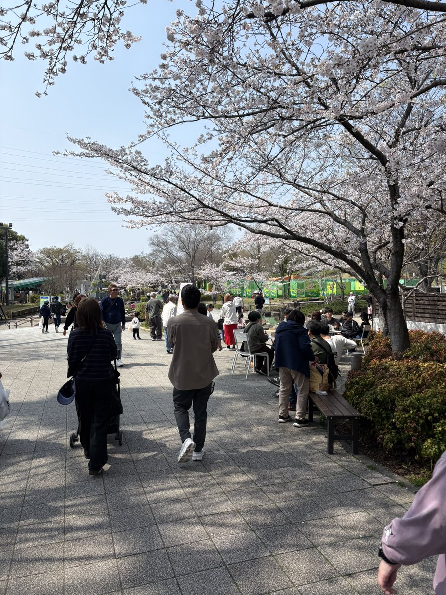 たむ@新規アカ tweet media