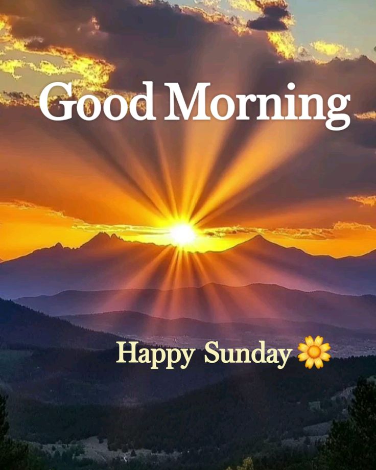 Alan kilty tweet media