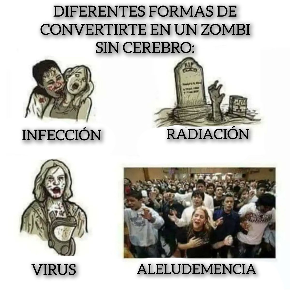 El Profe Rural tweet media