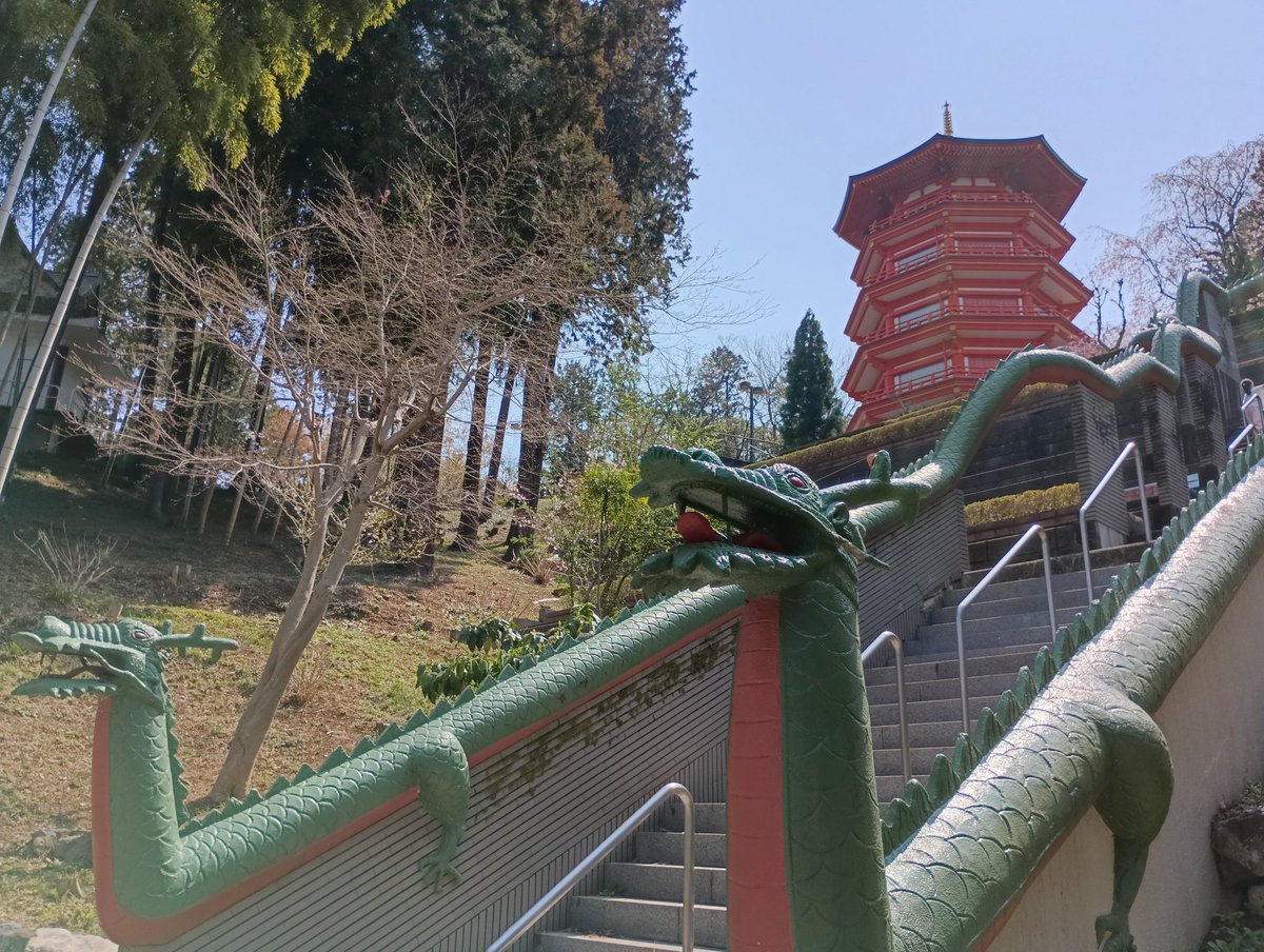 token✈️（トークン） tweet media