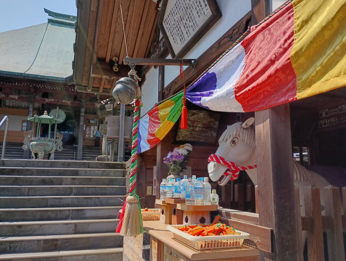 token✈️（トークン） tweet media