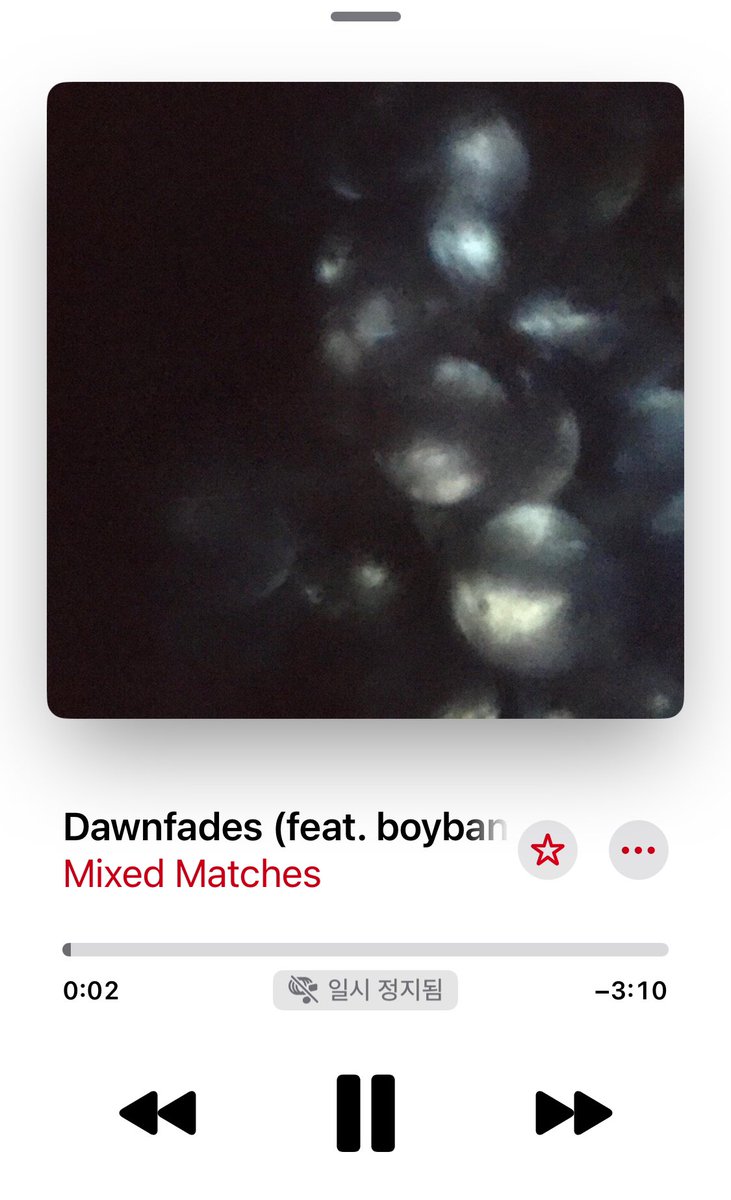 쿠쩜이 tweet media