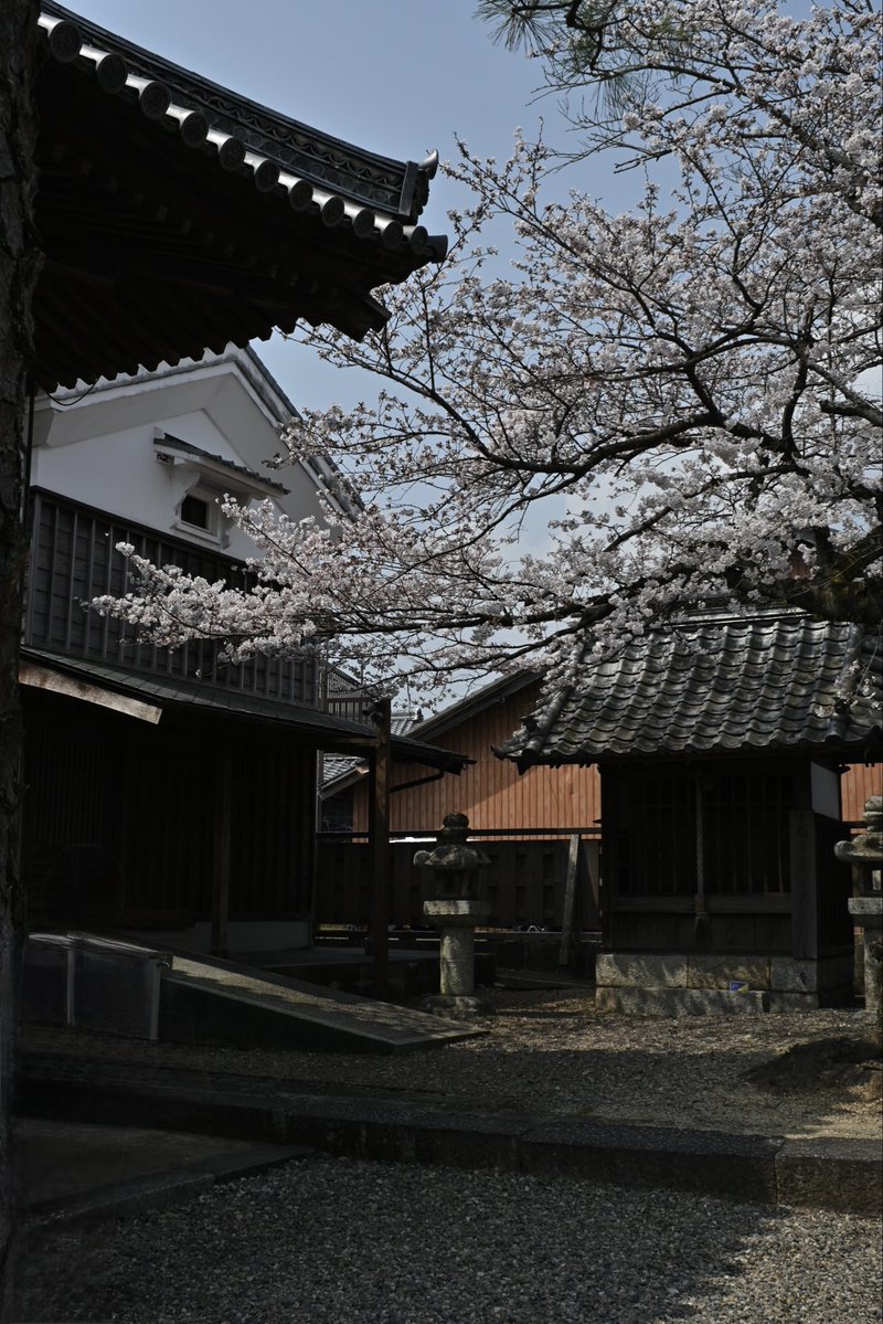 うおっち・らゔぁー / Watch Lover tweet media