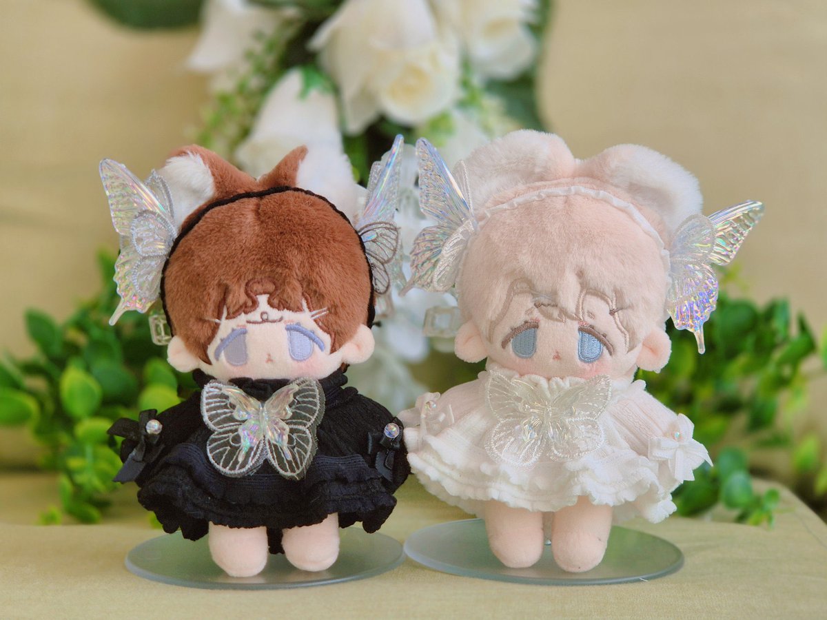 드림벨샵 | Dream Bell🪽 tweet media