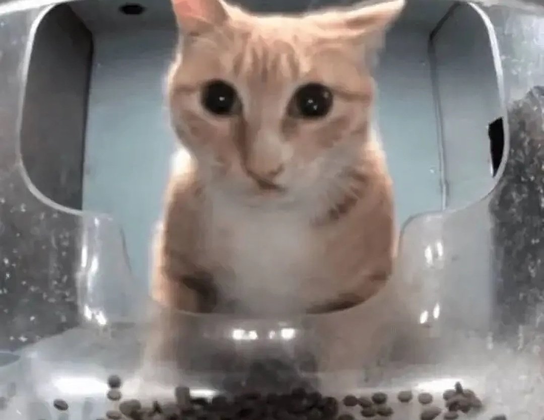 ᅠᅠ𝙨͟𝘰͟.ᅠᅠ〚 𝚠𝒉𝚊𝚝ᅠ ִ𖤠ᅠ tweet media