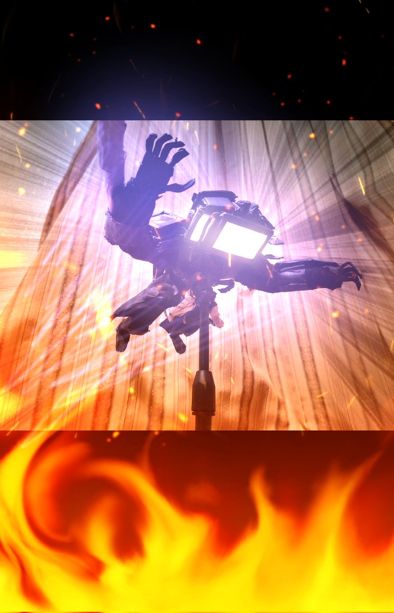 シロクマ✨️ tweet media