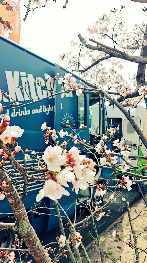 こば よし tweet media