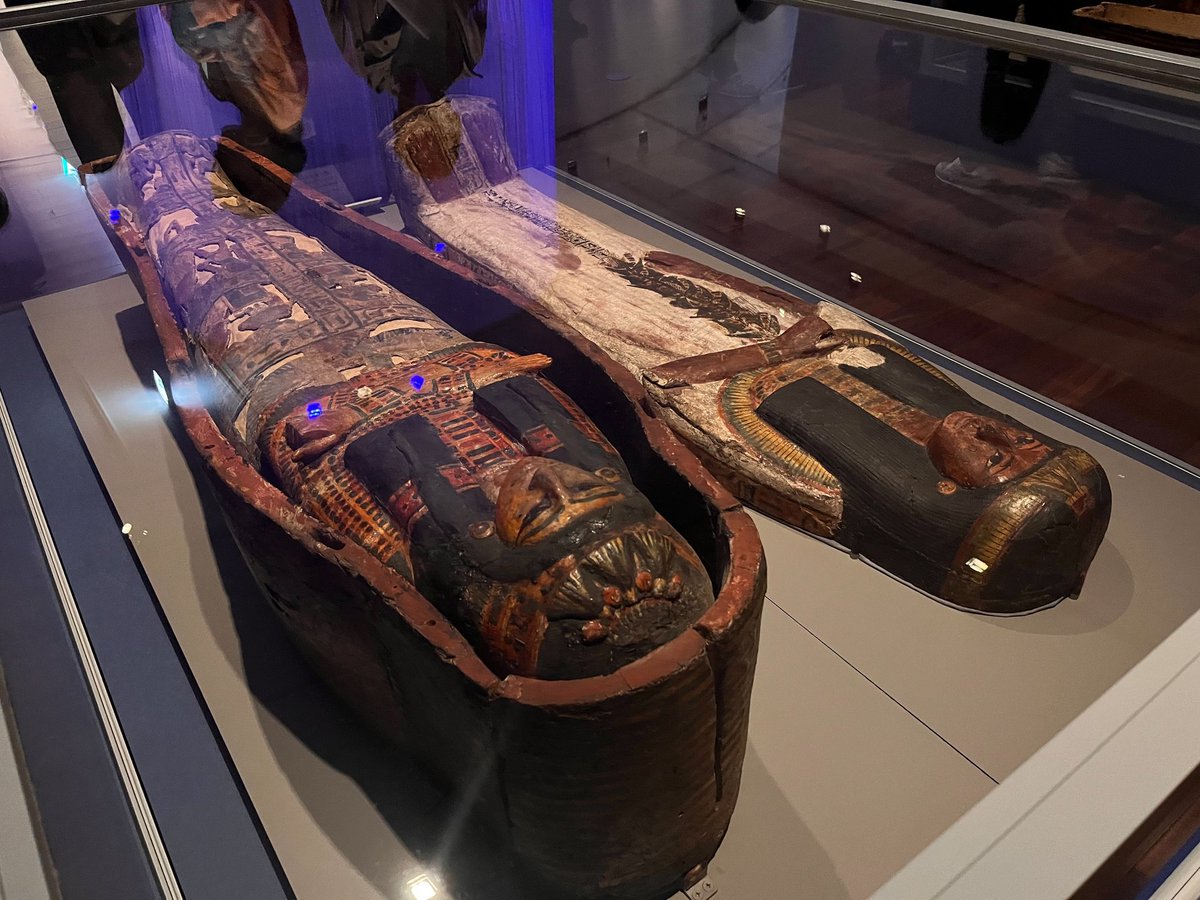 マナミ tweet media