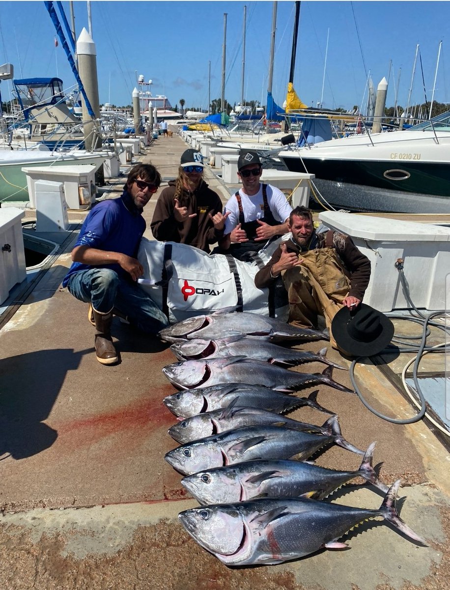 💰Puck Line Pros💰 tweet media