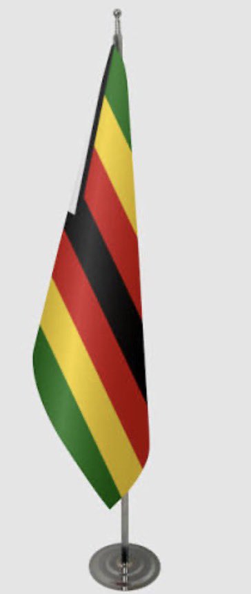 Nick Mangwana tweet media