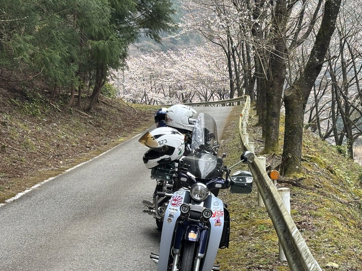 しょり2南大阪爆撃隊長(Bommer captain) tweet media