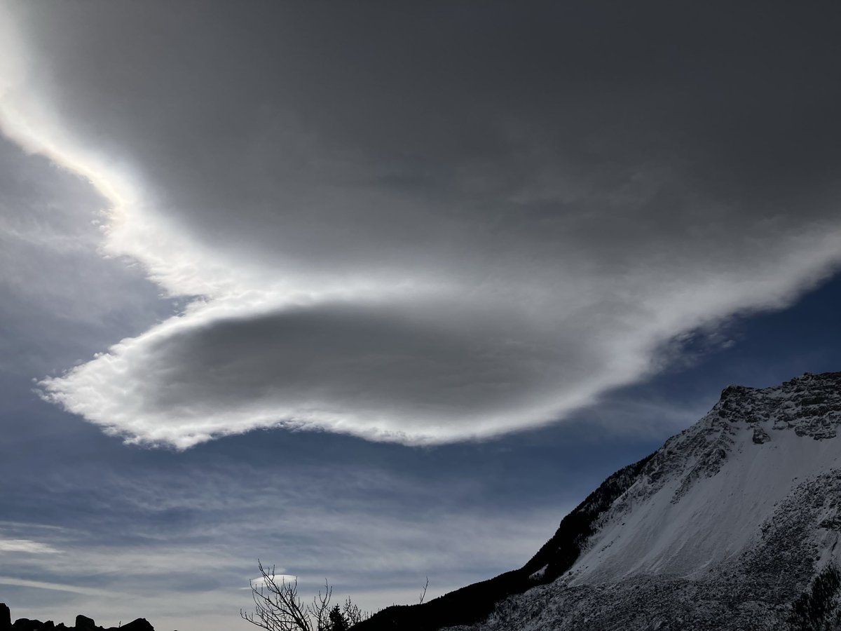 JoniMacFar tweet media