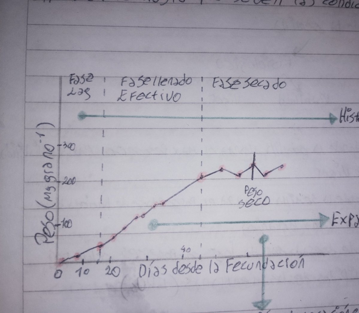 juan_saucedo tweet media