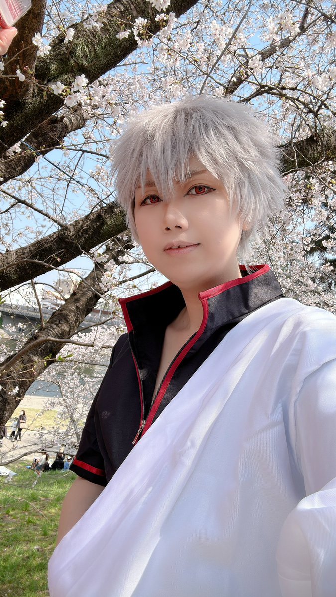 ヨネスケ🐺スパコス tweet media