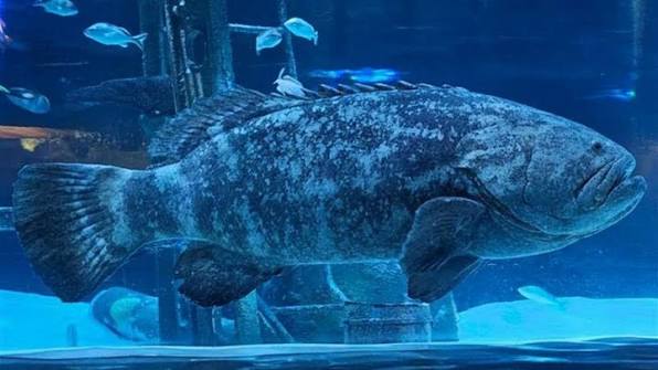 Hannah Ward 👩🏻‍🏫 Mom (x3) | Learning Designer tweet media