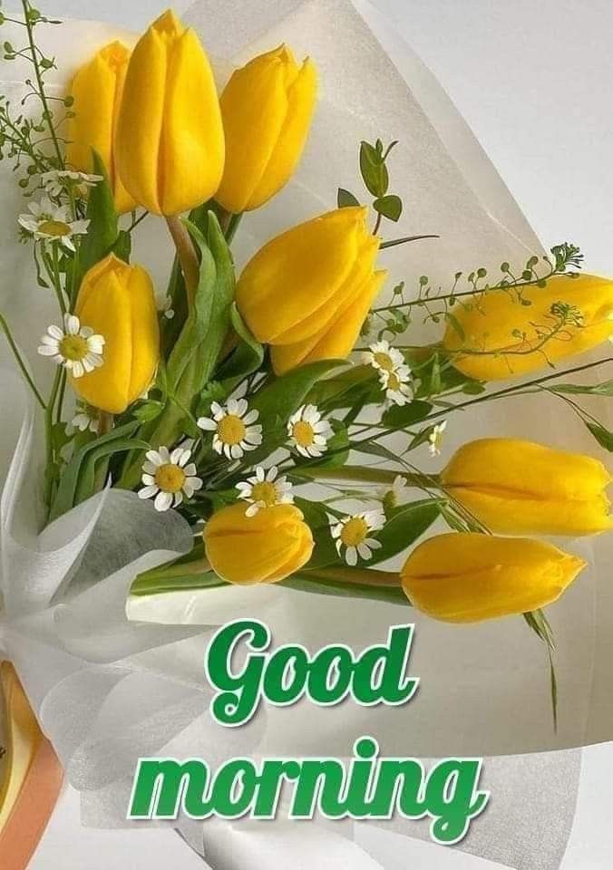 Suresh Pandey #TMG tweet media