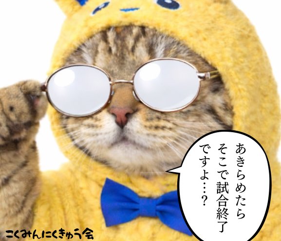 こくみんにくきゅう会Lab tweet media