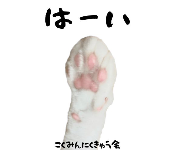 こくみんにくきゅう会Lab tweet media